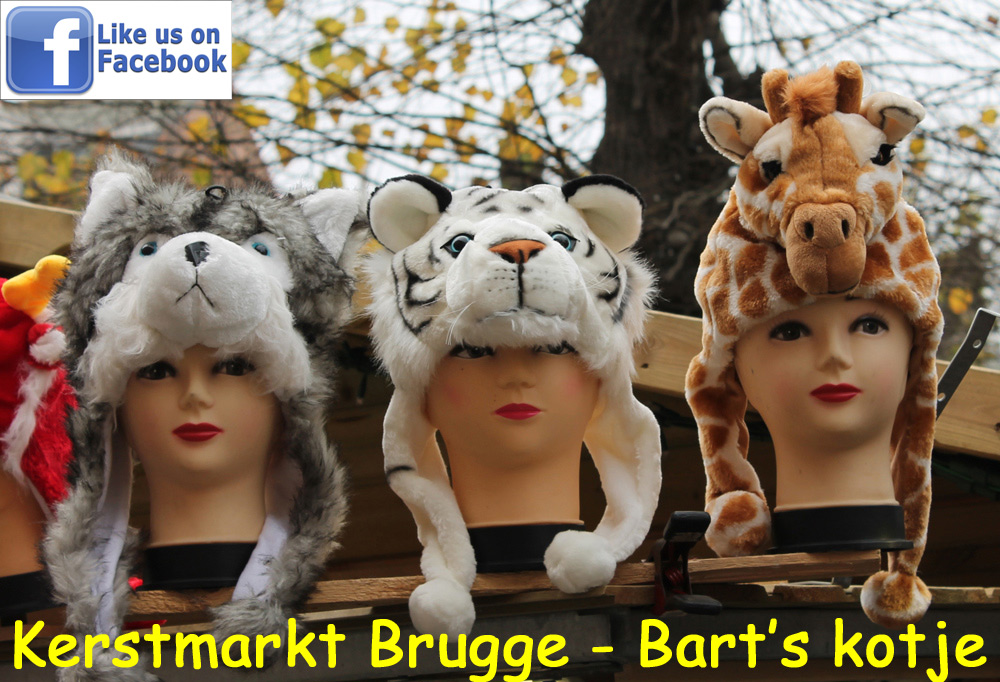 Bart's kotje op Kerstmarkt Brugge - dierenmutsen